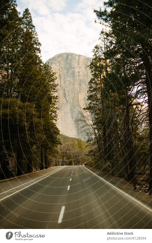 Straße durch den Wald mit Bergblick Asphalt Berge u. Gebirge Tal Baum Natur Ausflug Ambitus rau Autobahn Freiheit Autoreise Weg Straßenrand Sommer Pflanze wild