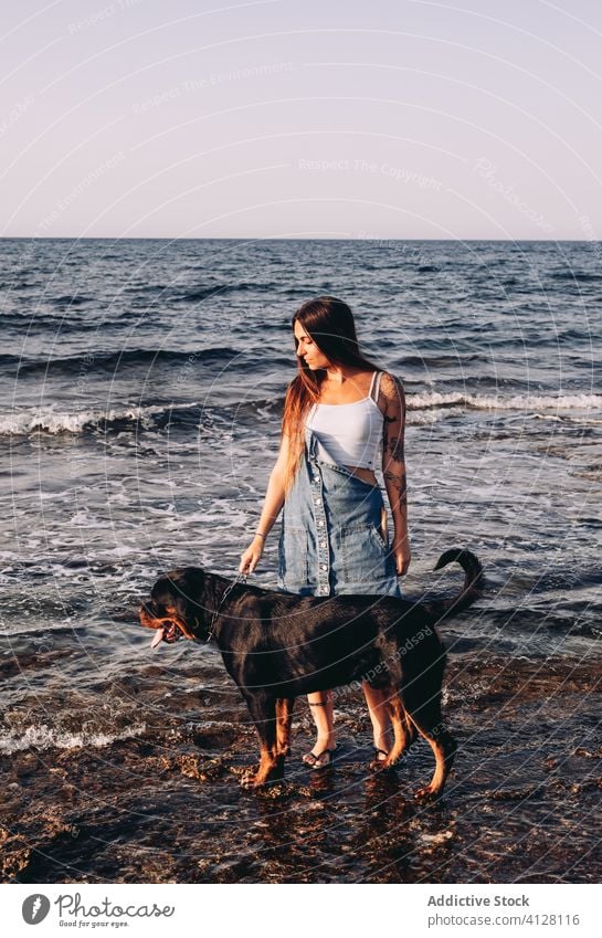 Fröhliche junge Hündin mit schwarzem Rottweiler am Wochenende am Meeresufer Frau Ufer Hund Strand Küste Zusammensein Freund Besitzer schlendern winken aufgeregt