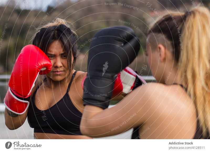 Entschlossene Boxerinnen trainieren auf der Straße Boxsport Handschuh Sportlerinnen Kämpfer Bowle Training Bestimmen Sie multiethnisch vielfältig