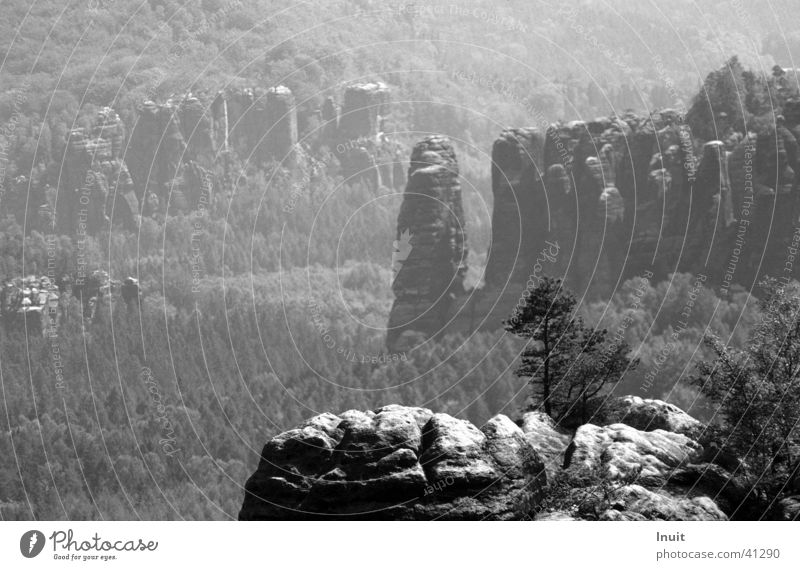 Sächsische Schweiz Sachsen Ferien & Urlaub & Reisen Baum Sandstein Berge u. Gebirge Schwarzweißfoto Bergwanderung