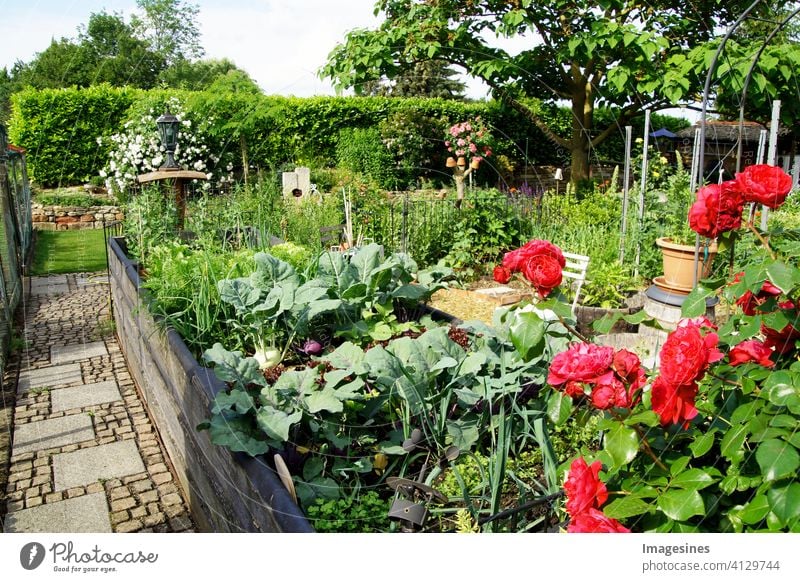 Privater Garten. Landschaftsgestaltung im Hausgarten, schöne Landschaftsgestaltung. Hochbeet mit Gemüse im Sommer modern Vorort Wohneigentum Schönheit