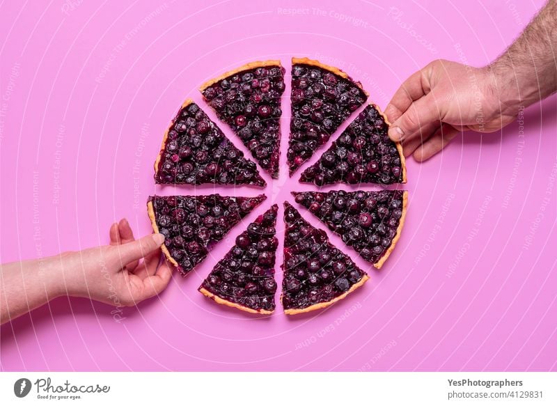 Blaubeerkuchen Draufsicht isoliert auf lila Hintergrund. Hände packen Scheiben von Kuchen. oben Herbst gebacken Backwaren Bäckerei Beeren Blaubeeren Tabelle