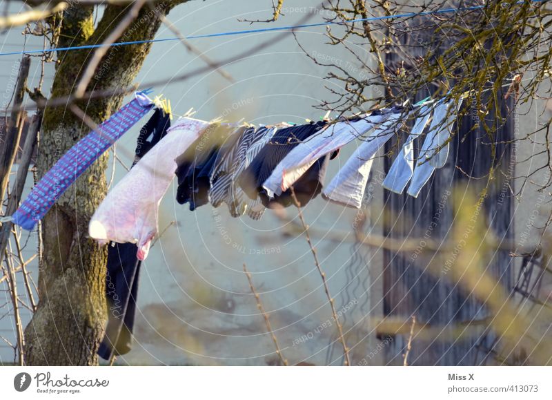 Wäscheleine Häusliches Leben Garten Wetter Schönes Wetter Wind Bekleidung hängen frisch nass Sauberkeit trocken Gefühle Reinlichkeit Reinheit Wäsche waschen