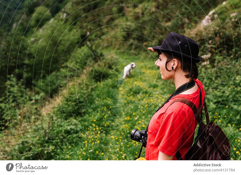 Ruhiger weiblicher Reisender genießt Naturlandschaft reisen Berge u. Gebirge Landschaft Frau Tourist bewundern Windstille Tal erstaunlich Asturien Spanien