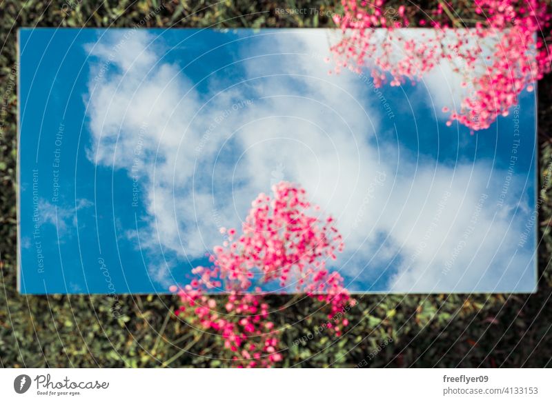 Erstaunlich flach legen mit dem Himmel auf einem Spiegel, rosa Blumen und Gras Szene Hintergrund abstrakt Attrappe Textfreiraum Rechteck Wolken Natur Licht