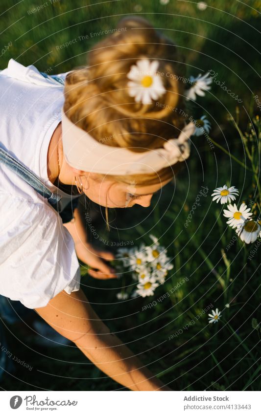 Ruhiges Weibchen ruht sich im Frühling auf grüner Wiese aus Frau Kamille Feld ländlich pflücken abholen riechen Windstille genießen Blumenstrauß frisch Natur