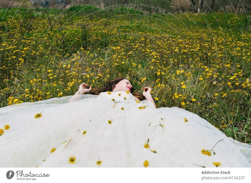 Ruhige Braut im Feld mit Blumen liegend Wiese Lügen Jungvermählter Hochzeit Löwenzahn Brautkleid Blüte Frau grün üppig (Wuchs) Hochzeitstag geblümt