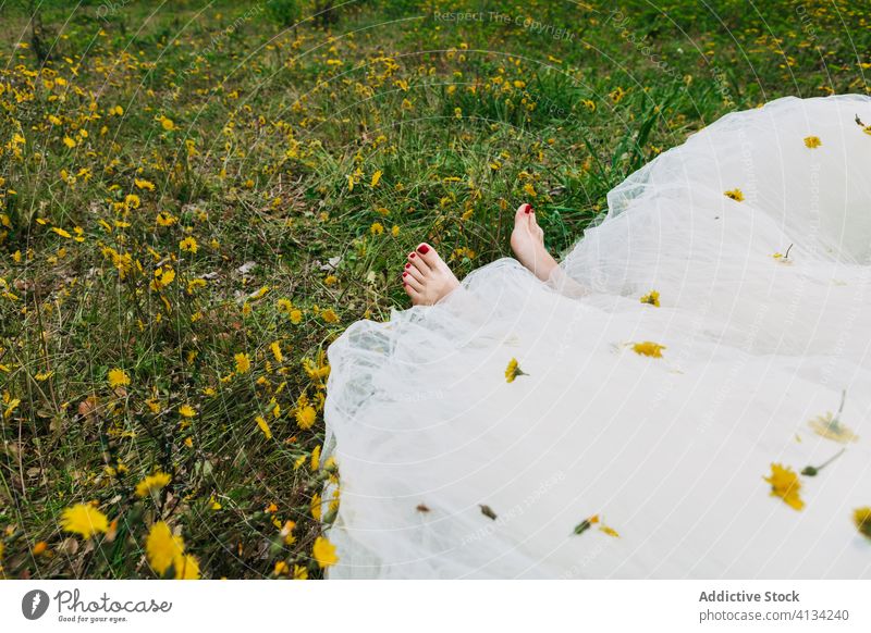 Getreidebraut auf der Wiese mit Löwenzahn Braut Jungvermählter Hochzeitstag Blume Brautkleid Damenschuhe Blütezeit Frau Feld sich[Akk] entspannen Rasen