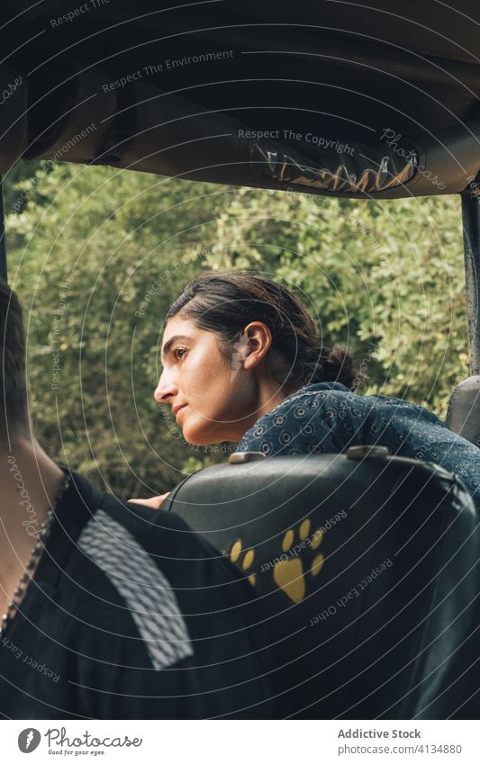 Frau im Auto während einer Safarireise Park reisen Tierwelt PKW bewundern Reisender Landschaft wunderbar Automobil Freiheit Sommer Urlaub sitzen Natur Fahrzeug