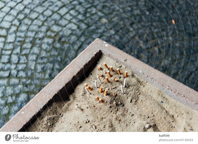 ausgedrückte Kippen im Sand Zigarettenstummel kippen Aschenbecher kippen ausdrücken ungesund Rauchen Zigarettenasche Tabakwaren Filterzigarette