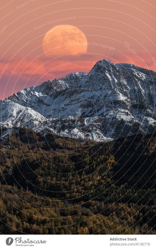 Vollmond über verschneiten Bergen Berge u. Gebirge Mond Wald Herbst Landschaft farbenfroh majestätisch Schnee Felsen Natur Umwelt malerisch Saison Kamm Ambitus