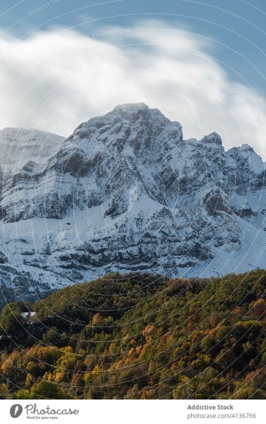 Herbstbäume mit Schnee in den Bergen Wald Baum Hügel kalt Natur malerisch Wetter Berghang Umwelt Saison Landschaft ruhig fallen friedlich Gelassenheit