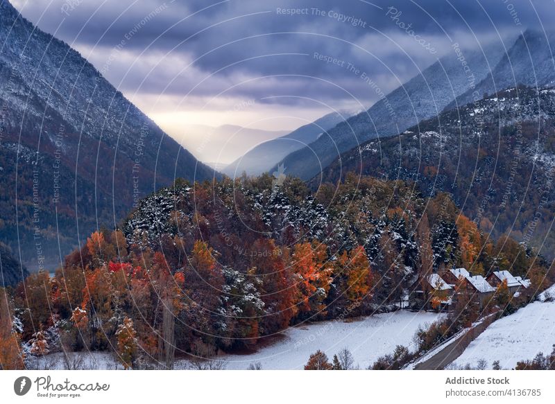 Wald und schneebedeckte Berge vor bedecktem Himmel Berge u. Gebirge Tal Schnee Kamm Unwetter Wetter orange Natur Ambitus Landschaft kalt Felsen malerisch Saison