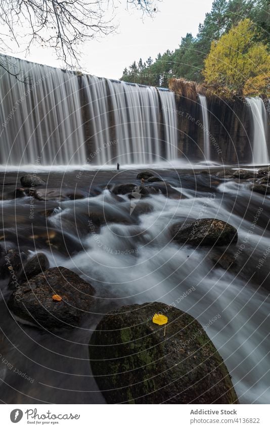 Wunderschöner Wasserfall im Herbstwald Fluss Wald strömen fließen Landschaft felsig wolkig trist malerisch reißend Natur Baum Umwelt fallen wild Laubwerk