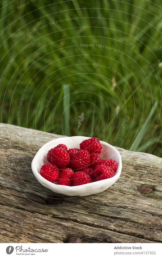 Schale mit frischen Früchten auf dem Land Frucht reif Himbeeren rustikal Landschaft Beeren Schalen & Schüsseln lecker natürlich geschmackvoll Keramik hölzern