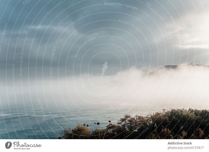 Ruhiges Meer in der Nähe von Hügel mit Wald unter bewölktem Himmel bei nebligem Wetter MEER Nebel Meereslandschaft Cloud atemberaubend malerisch Natur