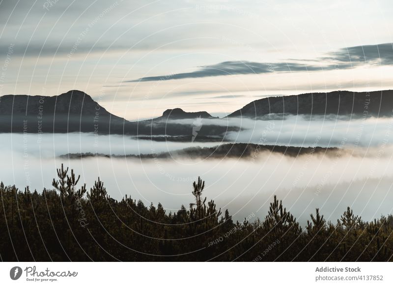 Nebliges Tal mit Bergen im Sonnenaufgang Berge u. Gebirge Nebel Morgen Landschaft Ambitus Umwelt Hochland Gelände wild Gelassenheit zeanuri Baskenland Spanien