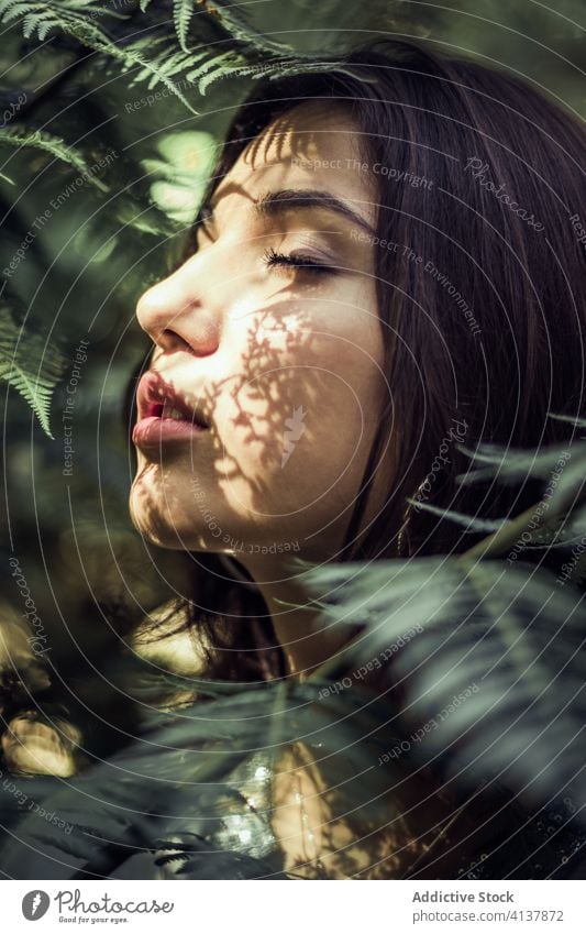 Zärtliche Frau im grünen Garten Angebot sanft Park Schatten Baum Blatt Sommer Kopf ruhig sonnig Gelassenheit Natur Outfit sich[Akk] entspannen Windstille