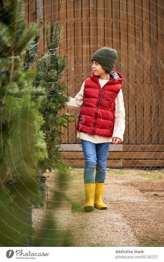 Schöner blonder Junge mit grüner Wollmütze, roter Weste, weißem Pullover, blauer Hose und gelben Stiefeln wählt seinen Weihnachtsbaum frisch Nahaufnahme Jungen