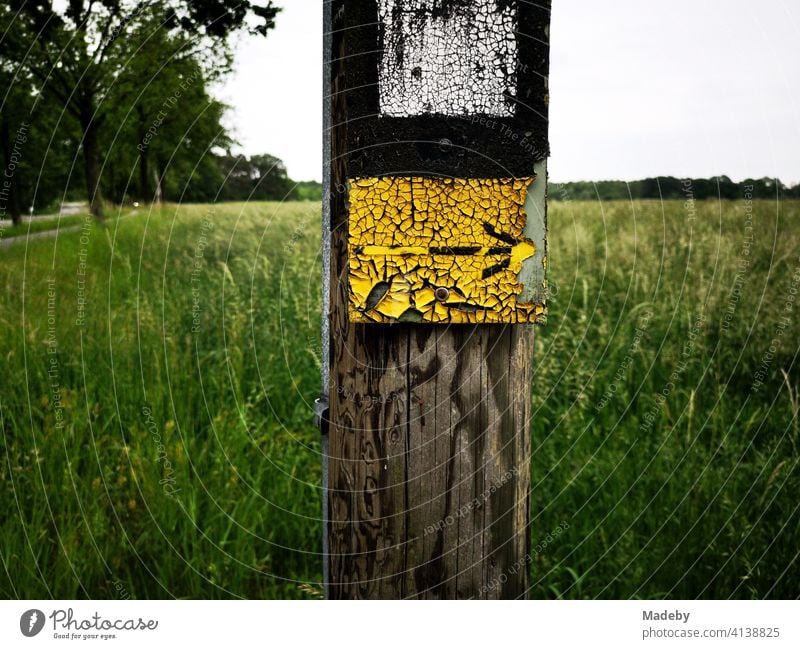 Alter Holzpfahl mit Wegweiser in Gelb an einem Wanderweg in der Senne in Lipperreihe bei Oerlinghausen im Teutoburger Wald bei Bielefeld in Ostwestfalen-Lippe