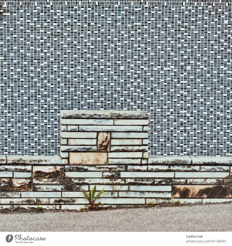 Mosaik und Stein auf Stein... in die Jahre gekommene Architektur, Straßenbild Fassade Form Bürgersteig Löwenzahn Mauer Linien Menschenleer Außenaufnahme