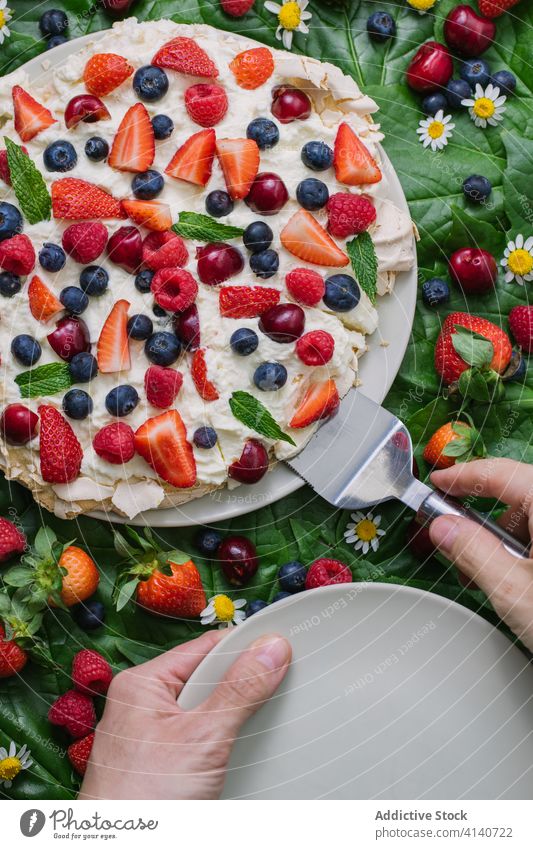 Leckere Pavlova-Torte mit verschiedenen Beeren pavlova Kuchen Dessert Schaumgebäck süß Lebensmittel köstlich lecker dienen essen Hand sortiert mischen frisch