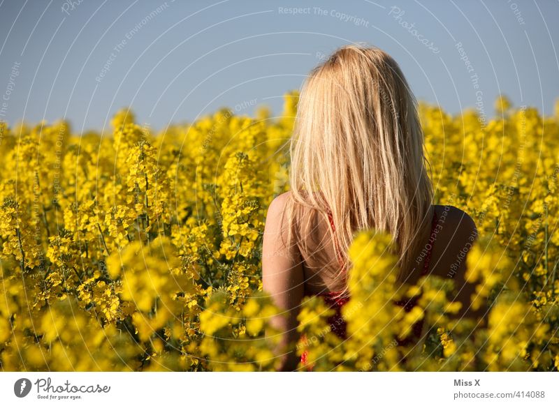 Dauerbrenner schön Haare & Frisuren Sommer Sonne Mensch feminin Junge Frau Jugendliche Erwachsene Rücken 1 13-18 Jahre Kind 18-30 Jahre Feld blond Erotik gelb