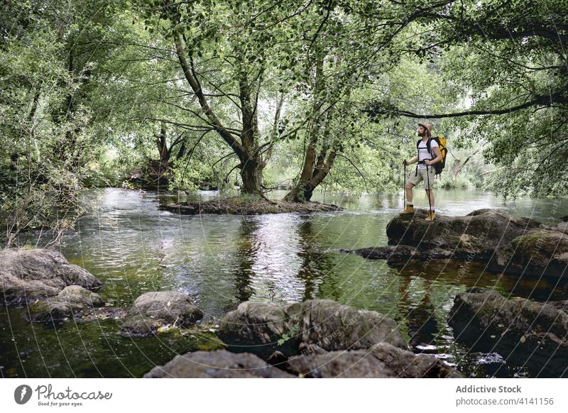 Naturlandschaft an einem See mit vielen Bäumen und einem wandernden jungen Mann, der auf den Horizont schaut reisen Abenteuer Sommer Menschen Trekking Tourist