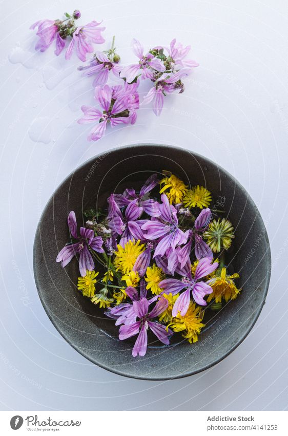 Gelbe und lilafarbene Blumen in Schalen auf dem Tisch Malve Blüte Blütenknospen Blütezeit natürlich violett gelb kreativ romantisch Angebot Wasser