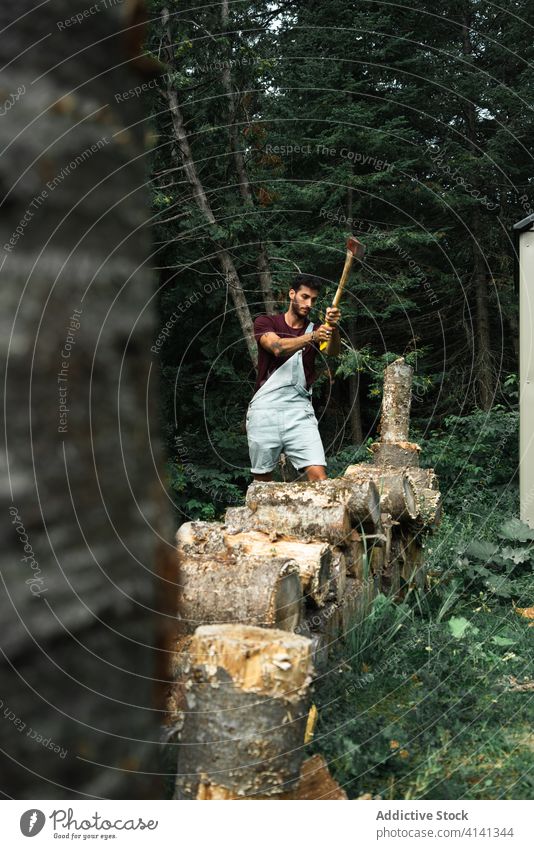 Mann beim Holzspalten im grünen Wald Split geschnitten Land reisen New Brunswick Kanada Grün Waldarbeiter Brennstoff Wälder üppig (Wuchs) Natur Werkzeug Axt