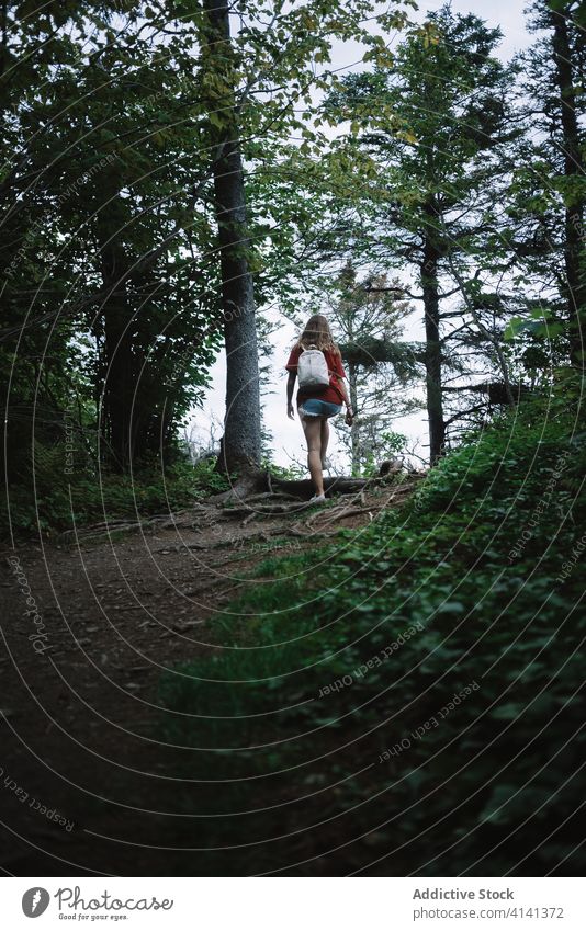 Unerkennbare Frau mit Rucksack auf Waldweg reisen Wälder Park schlendern national la mauricie Laufsteg Umwelt Kanada Quebec Aktivität Nachlauf malerisch