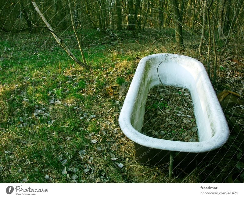 Baden im Wald Blatt verwittert grün Badewanne obskur dreckig