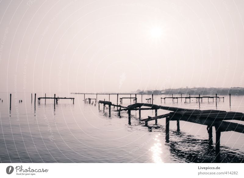 Rügen´s neuer Yachthafen Umwelt Natur Landschaft Wasser Himmel Wolkenloser Himmel Sonne Sonnenaufgang Sonnenuntergang Sonnenlicht Herbst Schönes Wetter Küste