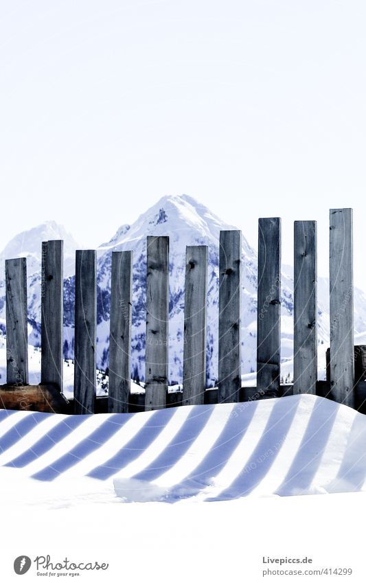 Zaunkönig Umwelt Natur Landschaft Himmel Wolkenloser Himmel Sonnenlicht Winter Schönes Wetter Schnee Felsen Berge u. Gebirge Zaunpfahl Stein Holz stehen frisch