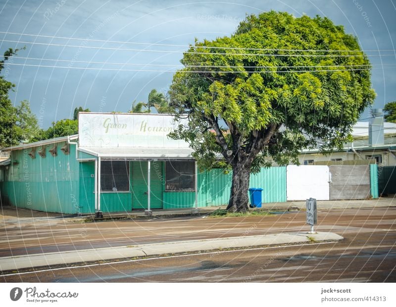 Douglas Street: Green Horizon Bar Klimawandel Wärme Baum Haus Vordach Ladengeschäft Straße Verkehrsinsel Verkehrszeichen Wort exotisch hell Originalität retro