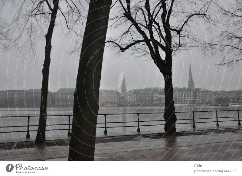 Hamburger Binnenalster Alster Innenstadt Neuer Jungfernstieg Ballindamm Bäume Ufer Uferpromenade Kirchtürme Regen Nebel Wasser Himmel Stadt Außenaufnahme See