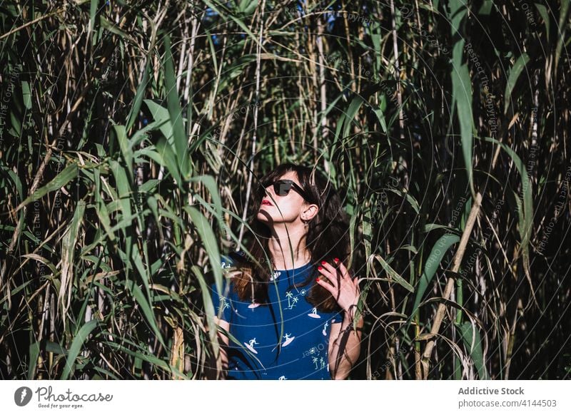 Frau im Zuckerrohrfeld Feld Sommer grün Landschaft Natur sich[Akk] entspannen Wochenende frisch blau Kleid stehen Grün tagsüber Windstille friedlich Harmonie