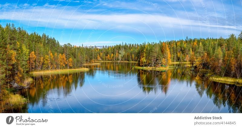 Üppiger Herbstwald am Seeufer Wald Natur Landschaft friedlich ruhig malerisch Windstille Umwelt farbenfroh hell Blauer Himmel sonnig Baum idyllisch Teich