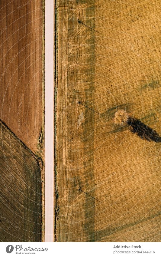 Fahrbahn zwischen grünen landwirtschaftlichen Feldern Straße Ackerbau ländlich Landschaft Natur Umwelt Weg Route Ackerland Autobahn Gelände gerade Gegend