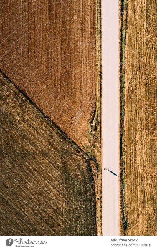 Fahrbahn zwischen grünen landwirtschaftlichen Feldern Straße Ackerbau ländlich Landschaft Natur Umwelt Weg Route Ackerland Autobahn Gelände gerade Gegend