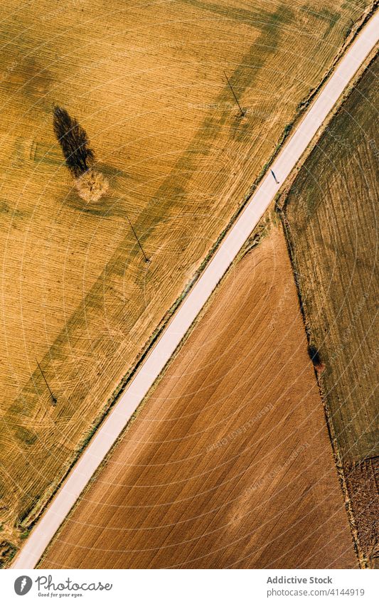 Fahrbahn zwischen grünen landwirtschaftlichen Feldern Straße Ackerbau ländlich Landschaft Natur Umwelt Weg Route Ackerland Autobahn Gelände gerade Gegend