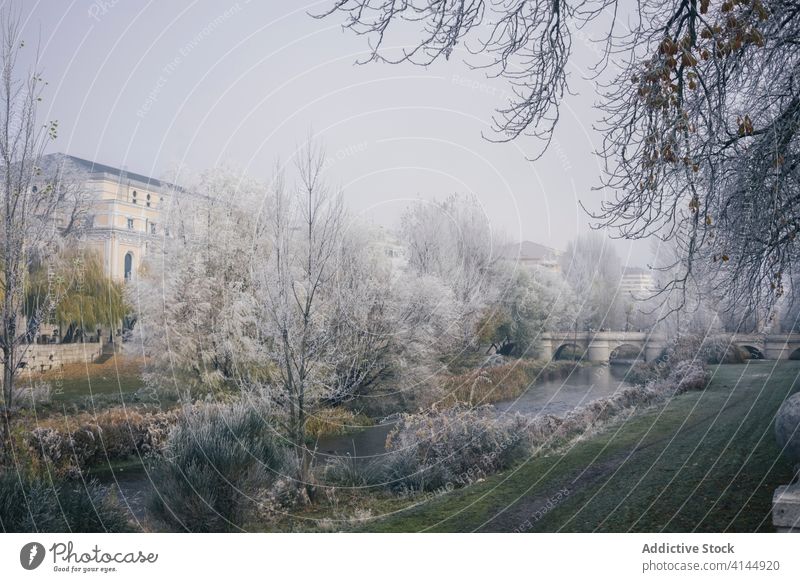 Malerischer Park mit Bäumen im Winter Frost kalt Saison Garten Fluss Baum erstaunlich Windstille Burgos Spanien idyllisch Winterzeit ruhig Wasser Eis frieren