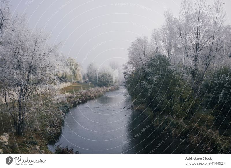 Malerischer Park mit Bäumen im Winter Frost kalt Saison Garten Fluss Baum erstaunlich Windstille Burgos Spanien idyllisch Winterzeit ruhig Wasser Eis frieren