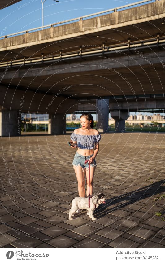 Asiatische Dame geht mit American Cocker Spaniel an der Leine mit dem Handy spazieren Frau Spaziergang Smartphone Hund Browsen Reinrassig gehorsam Eckzahn