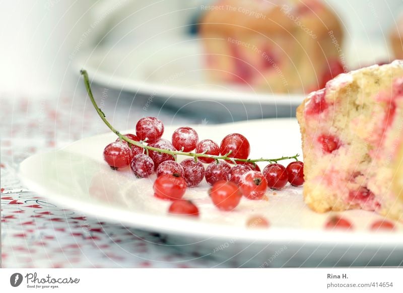 SommerMuffins II Frucht Teigwaren Backwaren Johannisbeeren Ernährung Teller genießen frisch hell lecker sauer süß Farbfoto Außenaufnahme Menschenleer