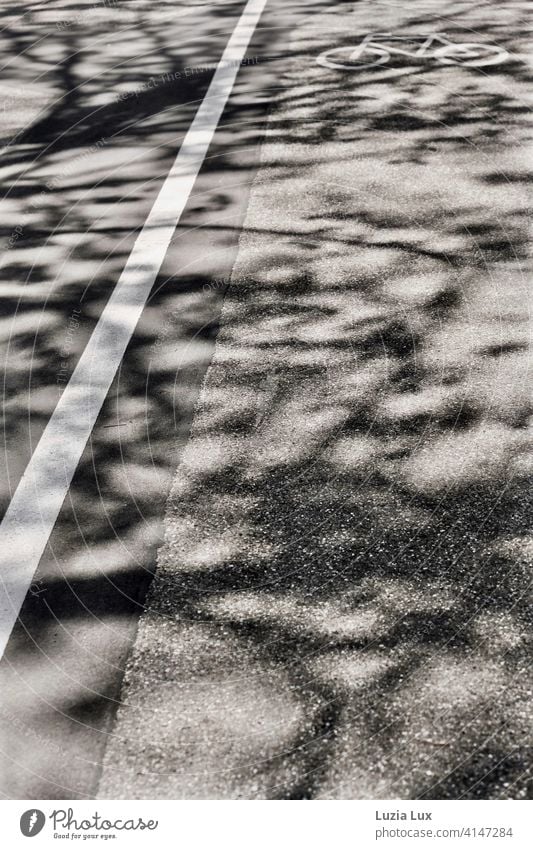 streng abgetrennt mit gerader Linie, der Radweg in der Allee. Schatten der Bäume und Äste im Frühlingslicht. Sonne Fahrrad Fahrradweg Trennung Fußgänger