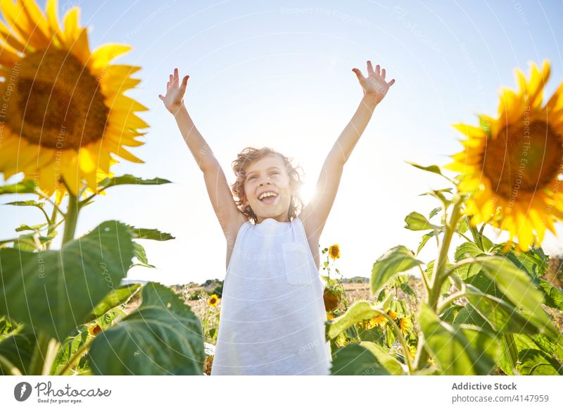 Nettes Kind in blühenden Sonnenblumenfeld Junge Feld genießen Sommer Blume Wiese Blütezeit Natur Freude Glück Lächeln aufgeregt Landschaft heiter grün gelb