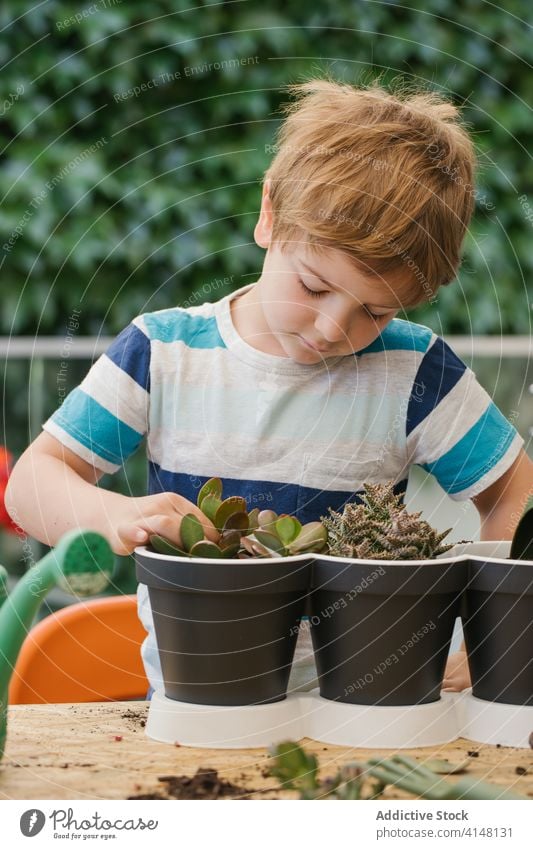 Junge pflanzt Kaktussetzling im Garten Pflanze Keimling Topf Gartenbau kultivieren Boden Gartenarbeit Hobby Gießkanne Harmonie Kunststoff Kelle Freizeit Anbauer