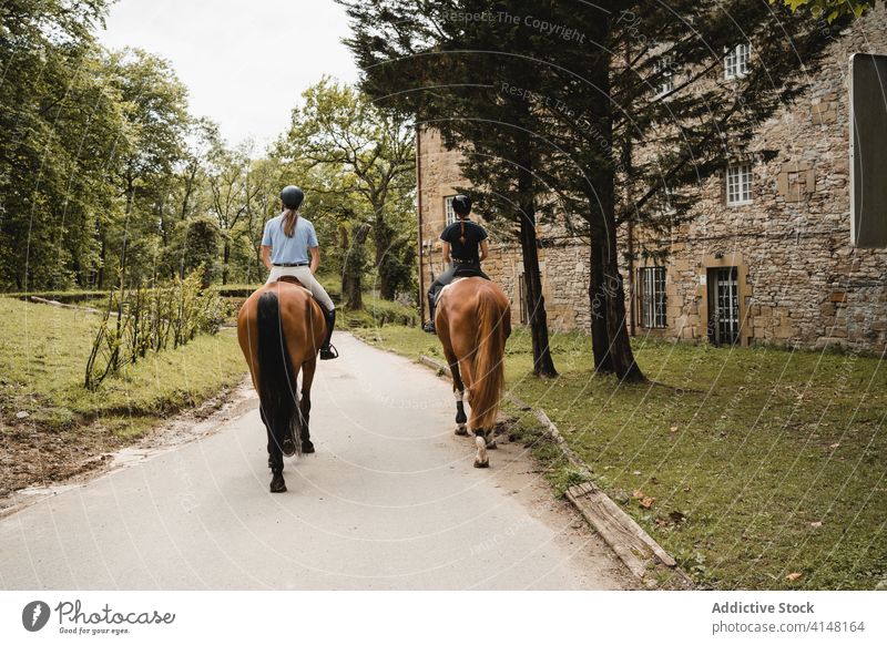 Weibliche Reiterinnen reiten auf Pferden entlang der Straße Mitfahrgelegenheit Frauen Pferderücken Zusammensein Jockey Dressur Kastanie Tier pferdeähnlich