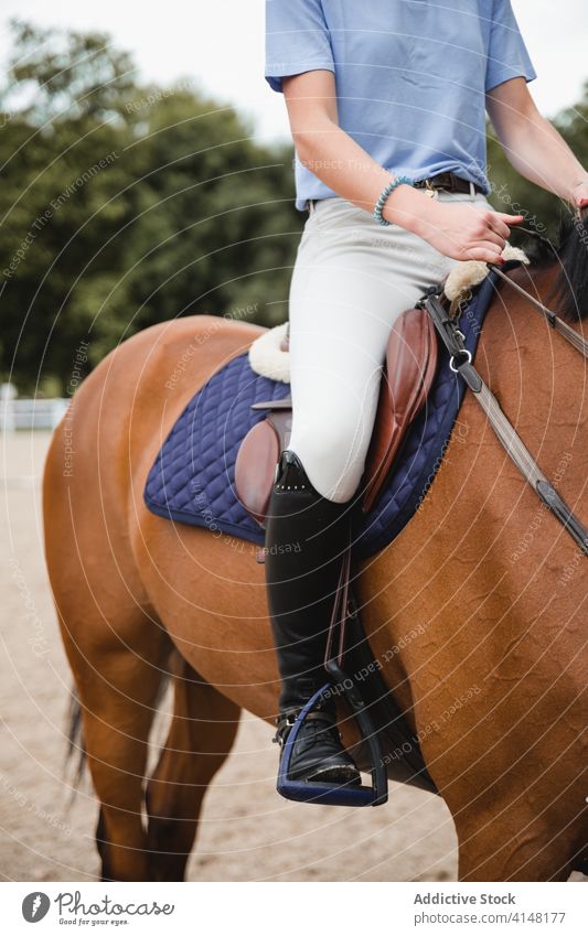 Weiblicher Jockey auf Pferd im Park Mitfahrgelegenheit Reiterin Frau Pferderücken Dressur Training Kastanie Tier pferdeähnlich Besitzer Haustier Säugetier grün